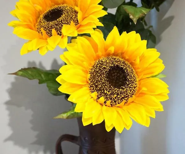 Casa Viana Будинок відпочинку Кордова