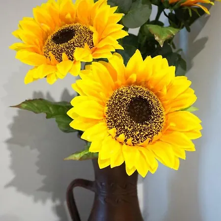 Casa Viana Ferienhaus Córdoba